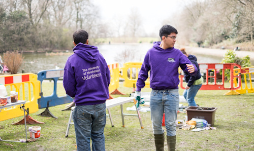 Two students wearing purple hoodies, volunteering in a field