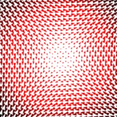 Computational magnetism